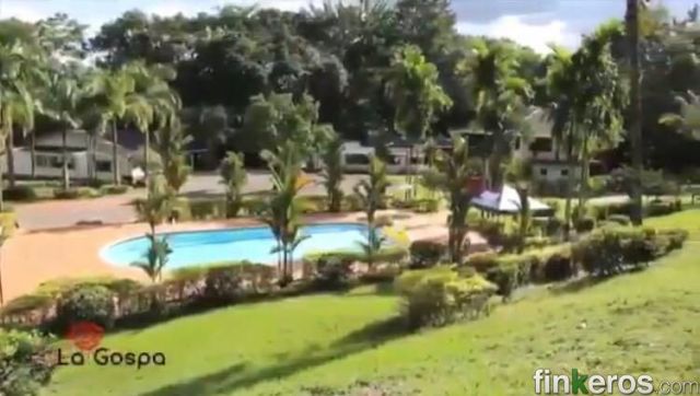 Fincas in Villavicencio: the Colombian plains three hours from Bogotá
